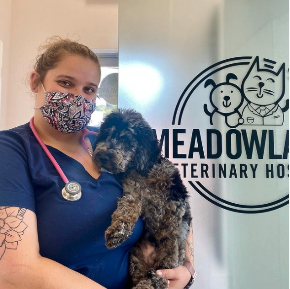 Meadowlands Veterinary Hospital